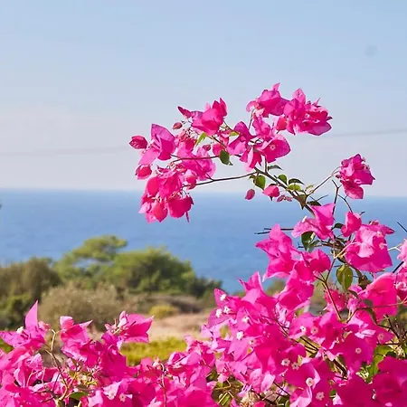 Apartment Stunning View & A Tranquil Mood 2 Br *